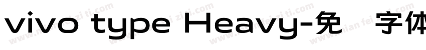 vivo type Heavy字体转换